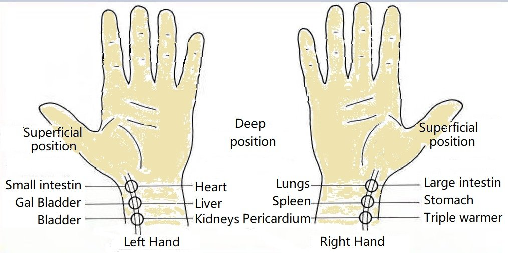 There is more than 54 kinds of issues can be find from the Pulse diagnosis. Diagnosis with pulse