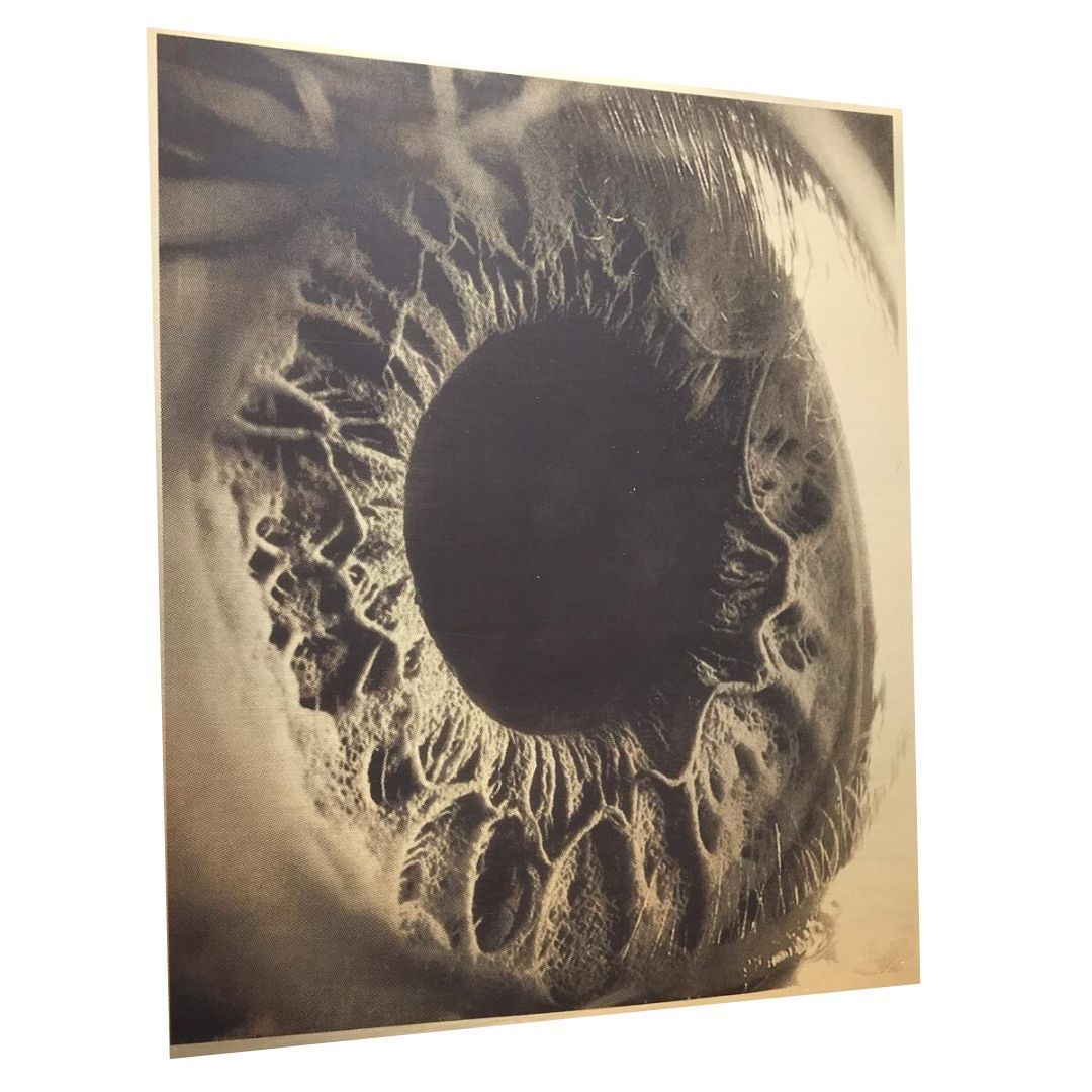 Chemical etched brass photo with patina Chemical etched brass photo with patina