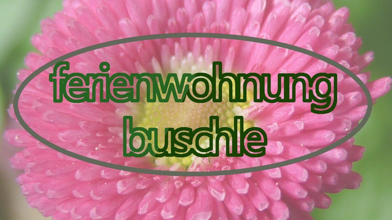 Ferienwohnung Buschle