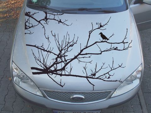 Fahrzeugdekor Krähe Fahrzeugdekor Krähe auf Ast