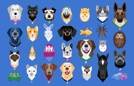 Selection of Pets