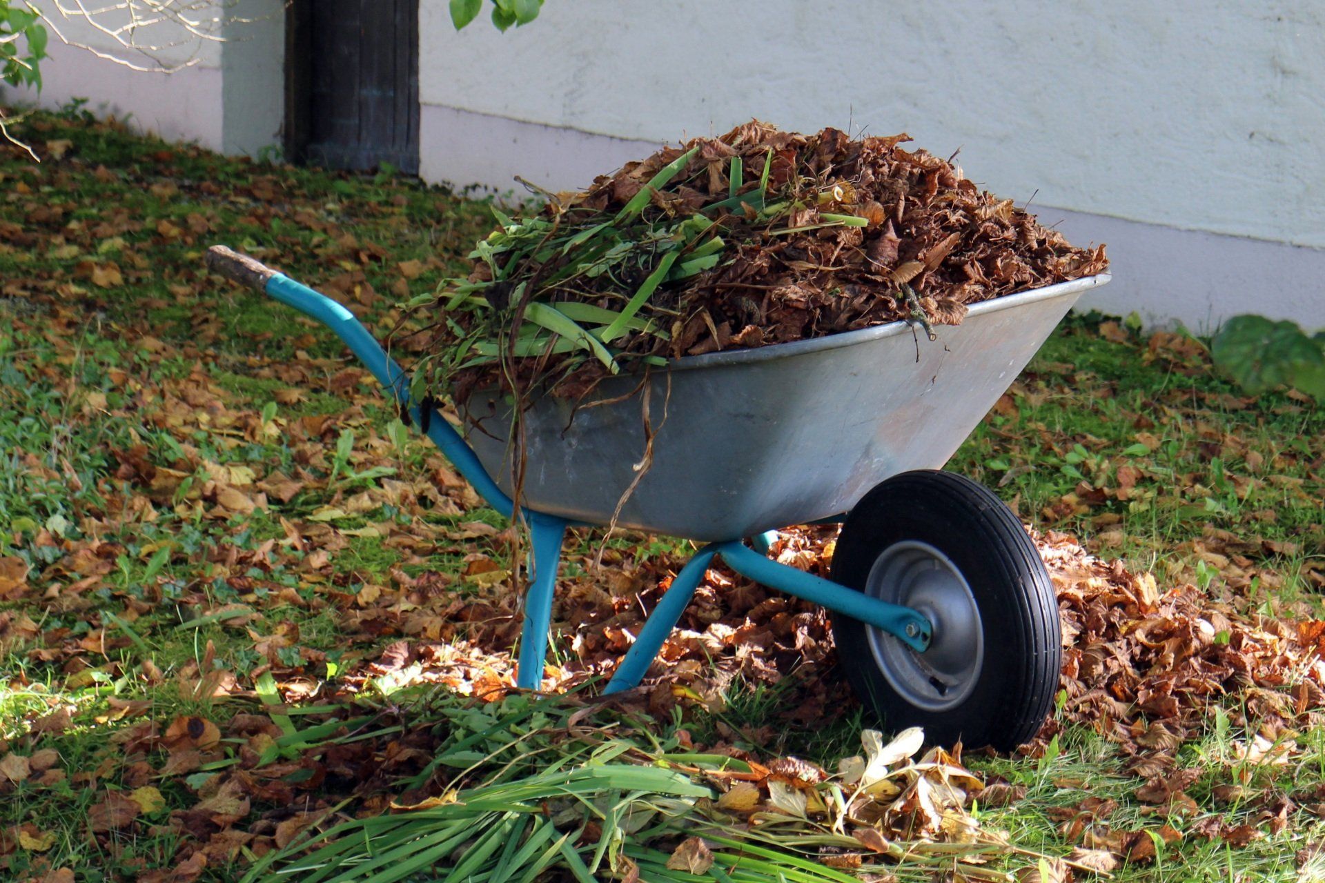 Gebäudeservice Cakmak Gartenpflege Berlin Meisterbetrieb Service Cakmak Laub harken Rasenpflege Glas- und Gebäudereinigung