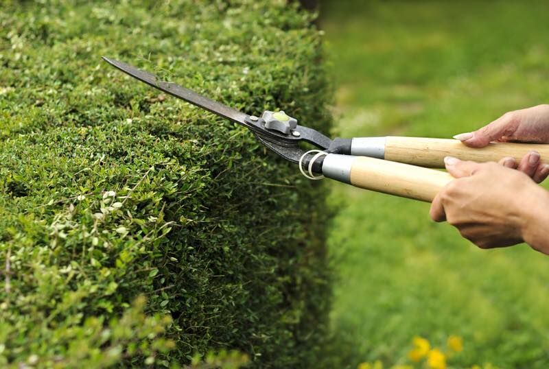 Gebäudeservice Cakmak Glas- und Gebäudereinigung, Gartenpflege und Hausmeisterdienste