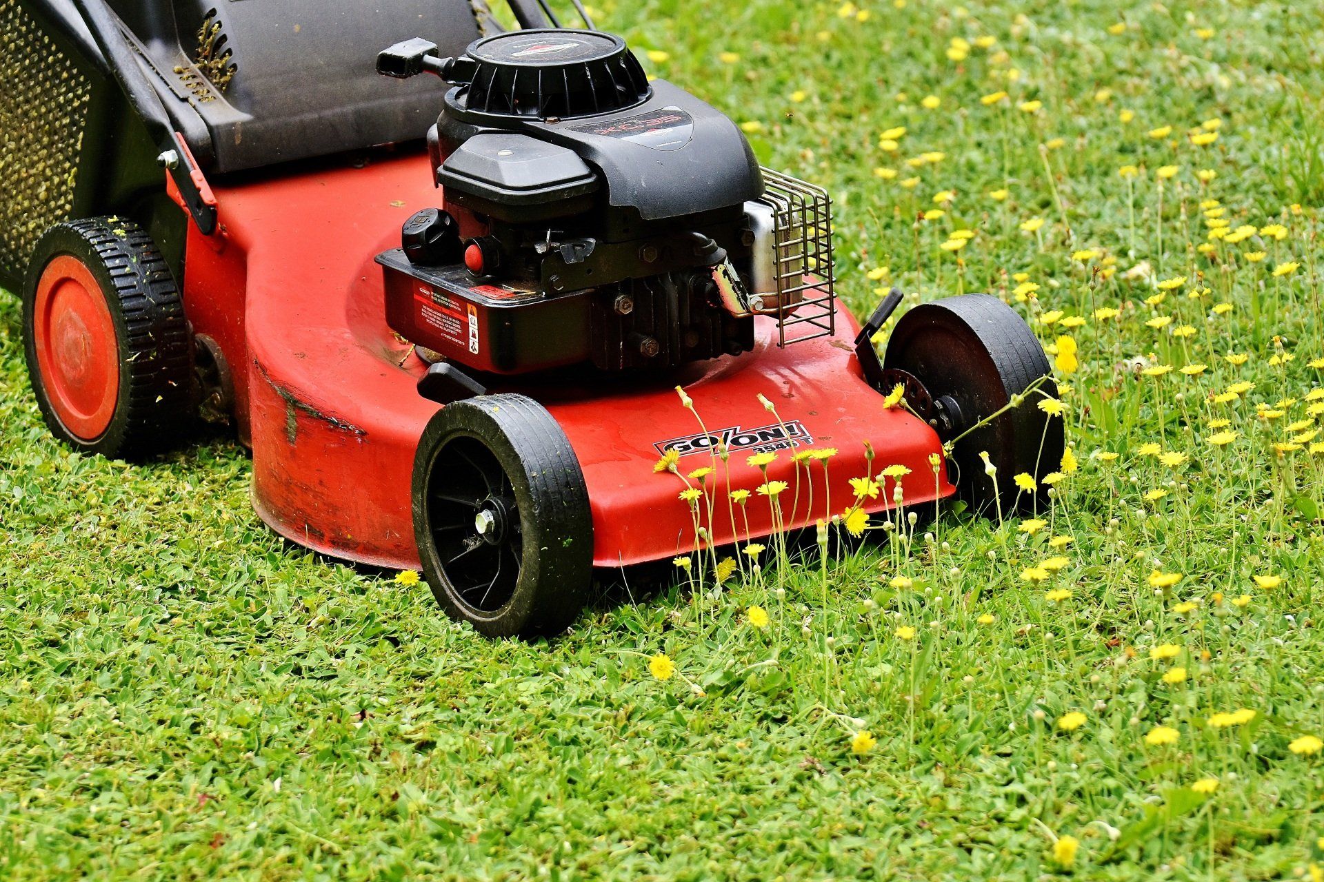 Gebaüdeservice Cakmak Service Rasen mähen Berlin Gartenpflege Laubharken Heckenschnitt