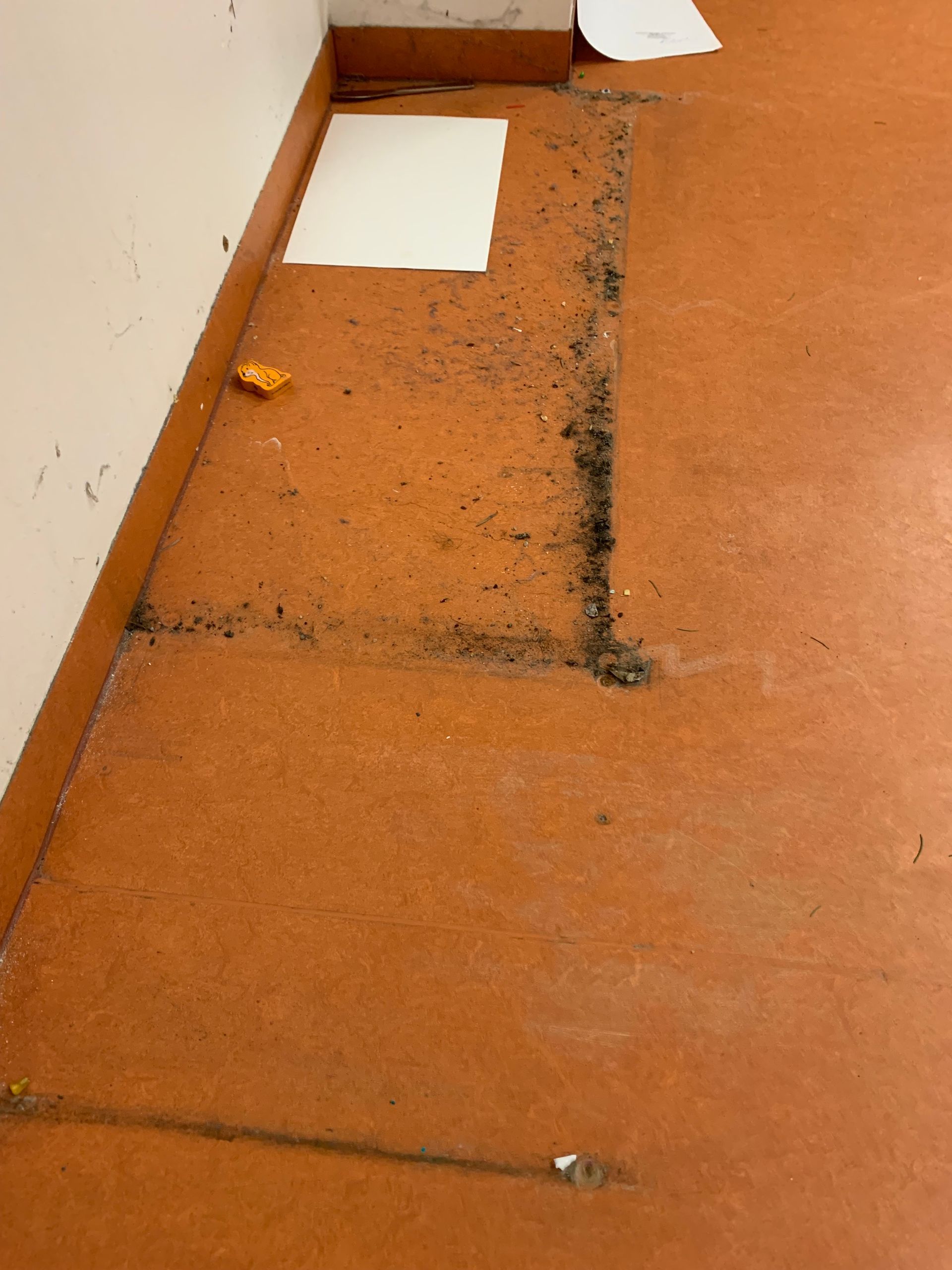 Service Cakmak Gebäudeservice Cakmak Meisterbetrieb Linoleum Grundreinigung mit Beschichtung Berlin Sonderreinigung