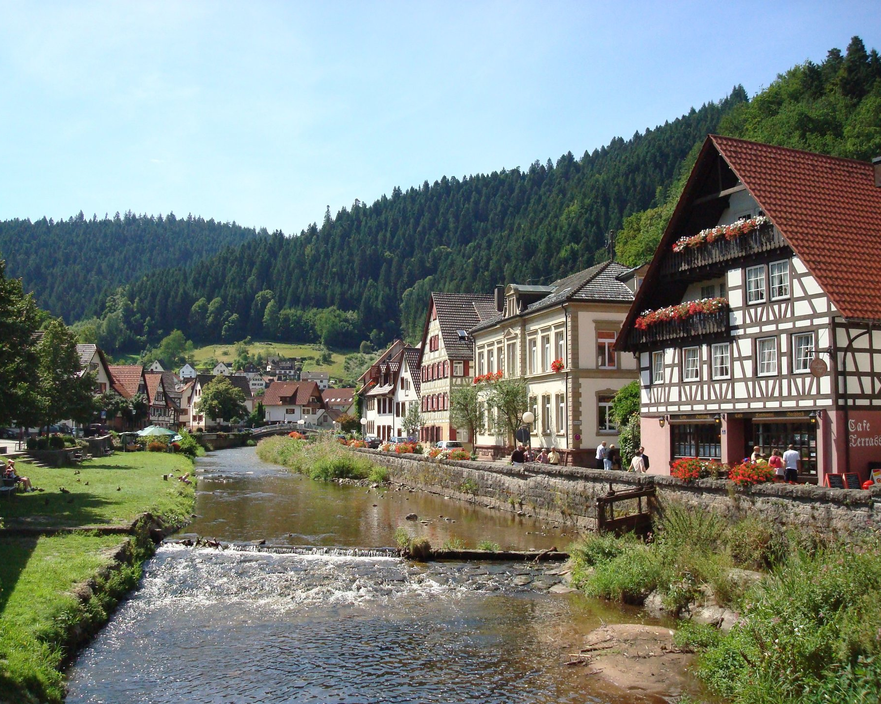 Black Forest Village