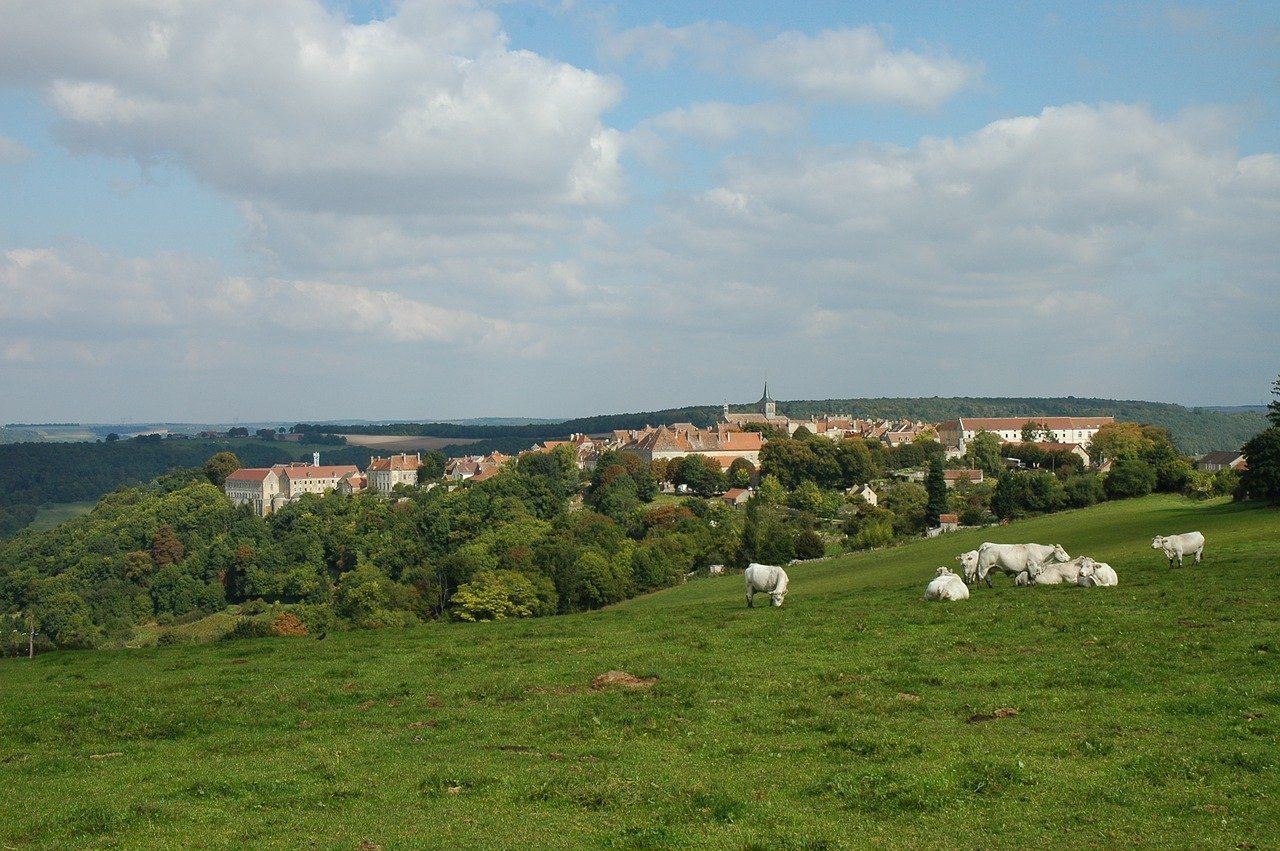 Counrtyside