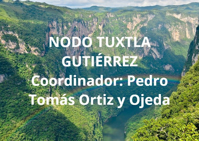 Coordinador: Pedro Tomás Ortiz y Ojeda Patricia Sánchez Iturbe, Rosy Ilda Basave Torres. NODO TUXTLA GUTIÉRREZ
Coordinador: Pedro Tomás Ortiz y Ojeda