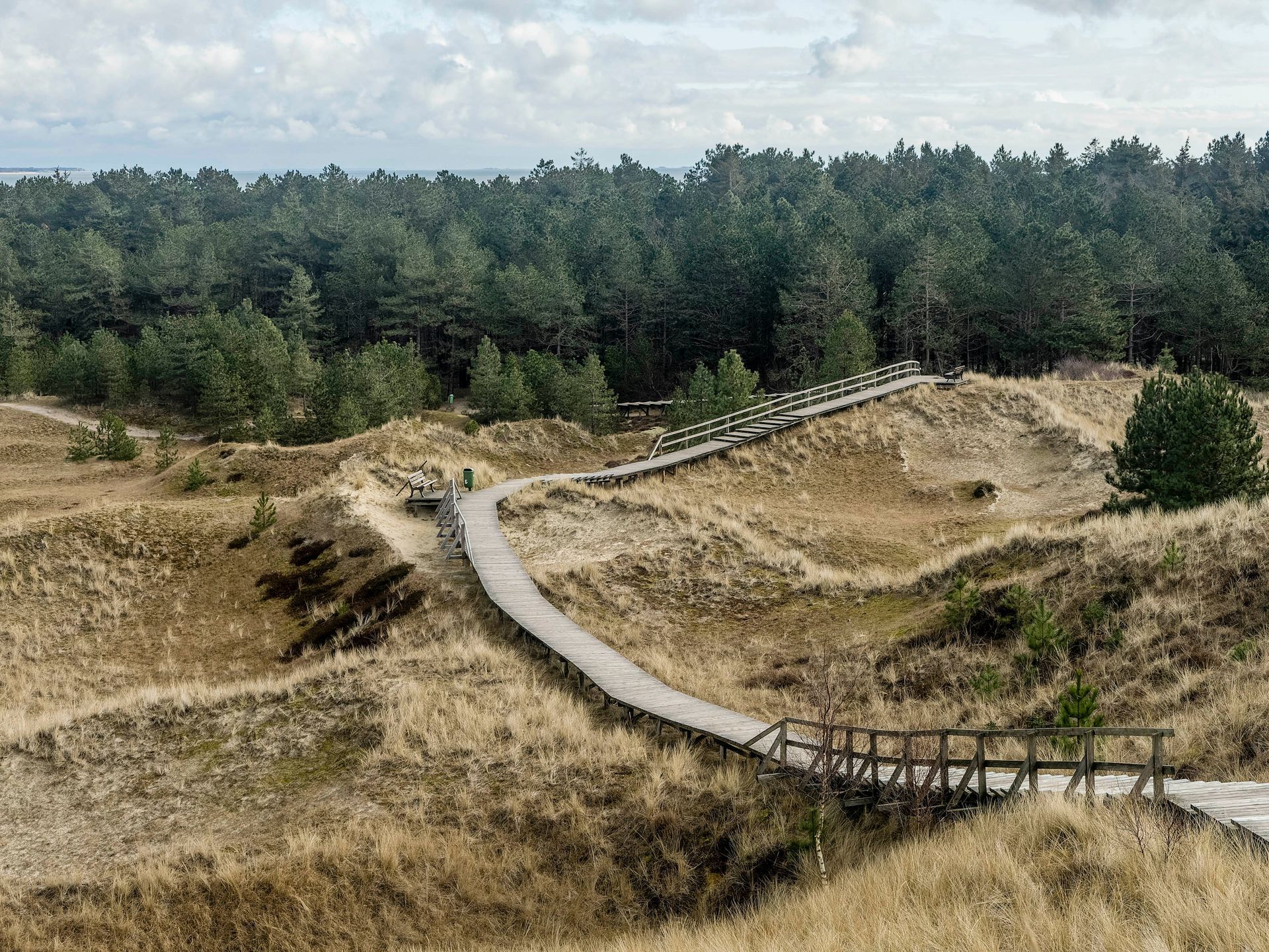 Braune Dünen, Bohlenweg Braune Dünen mit Bohlenweg