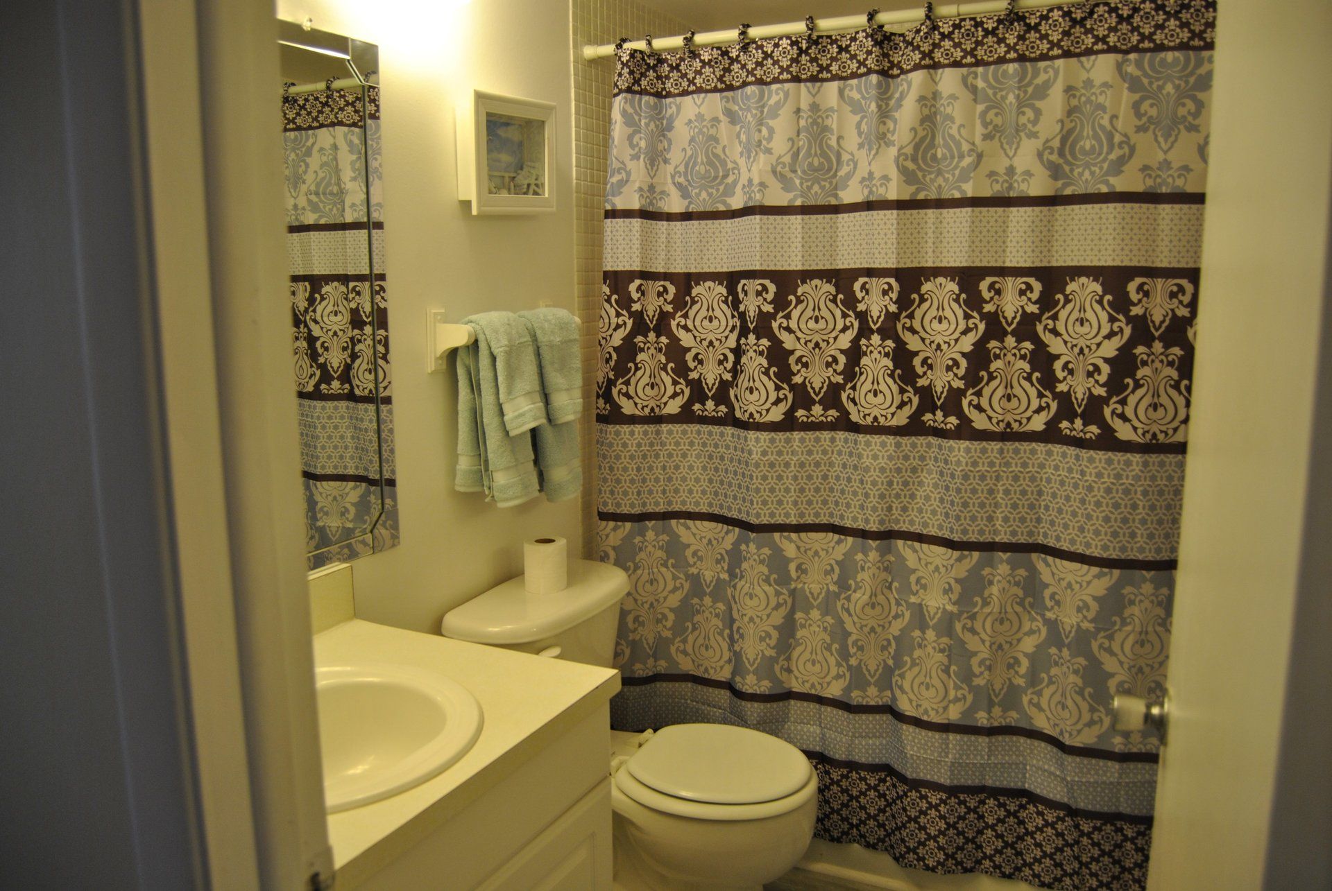 Bathroom sink, toilet, shower curtain