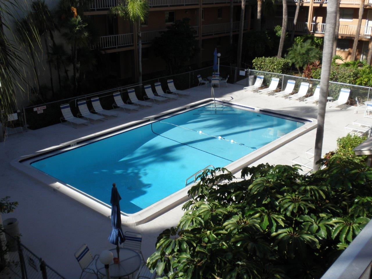 Inground pool with lounge chairs and foliage