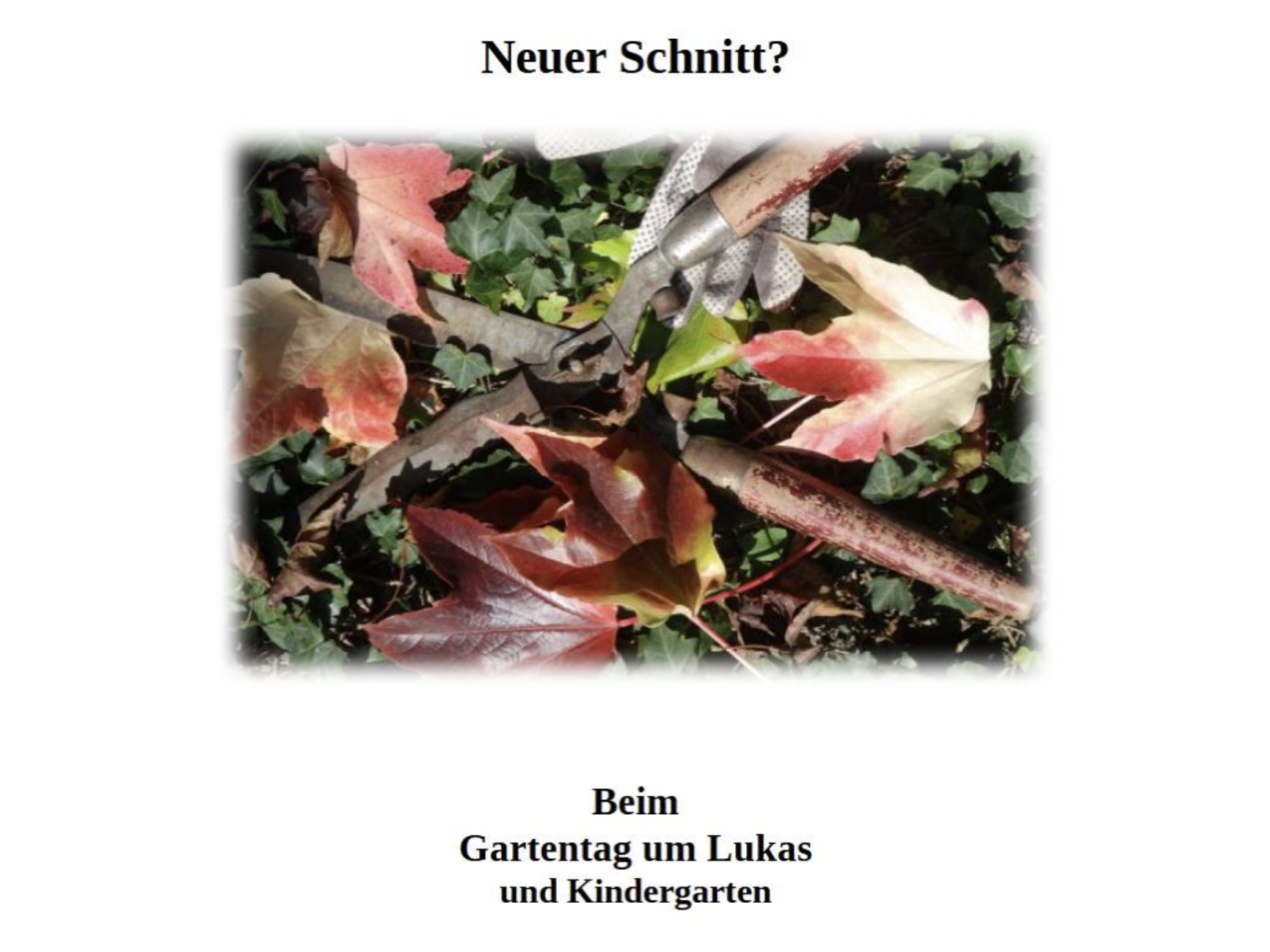 Am Samstag, den 15.11.25 von 10-14 Uhr