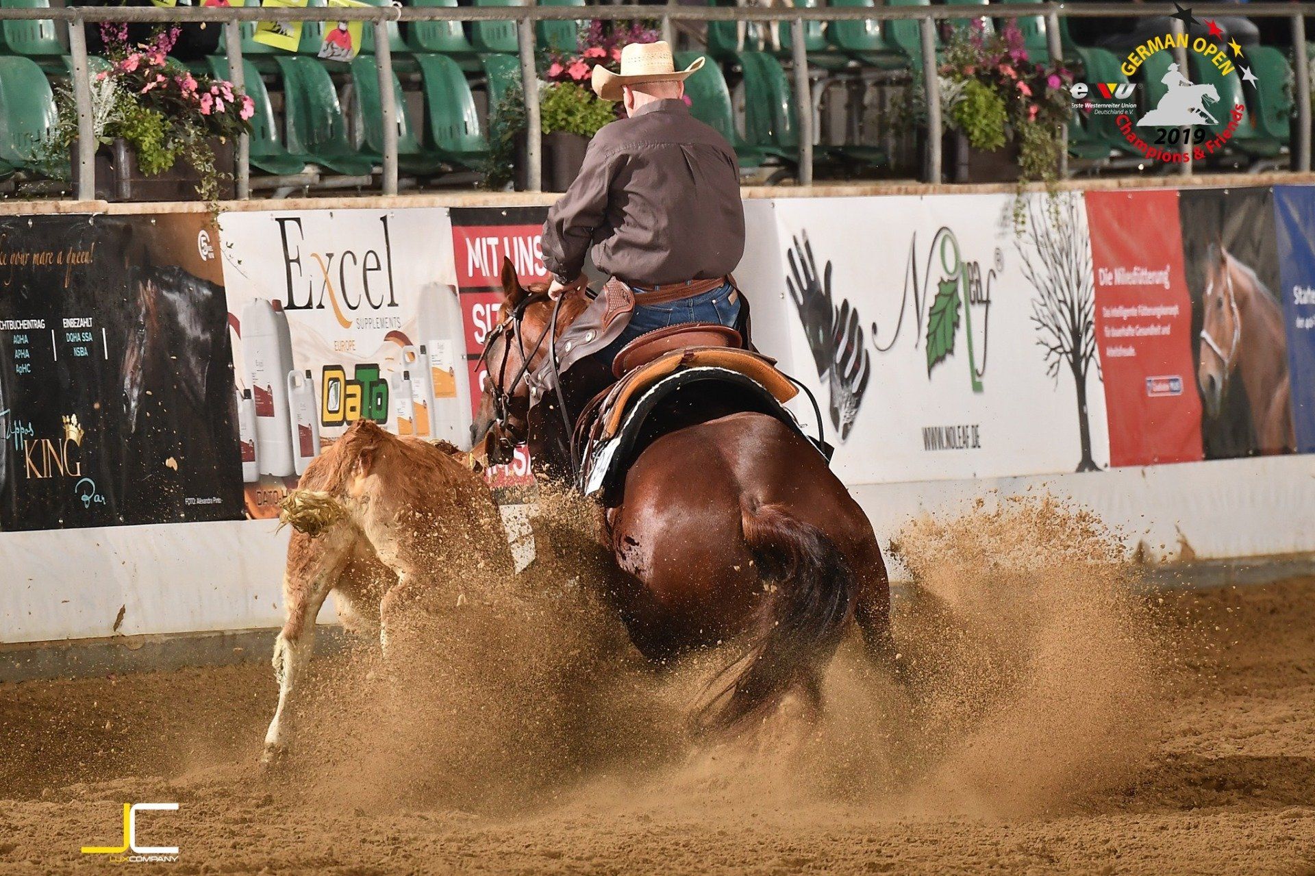 JustaShiningSparkle top winning mare NRCHA, NCHA, VRHA, AQHA