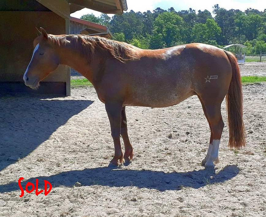 Light Me Up Linda Light Me Up Linda