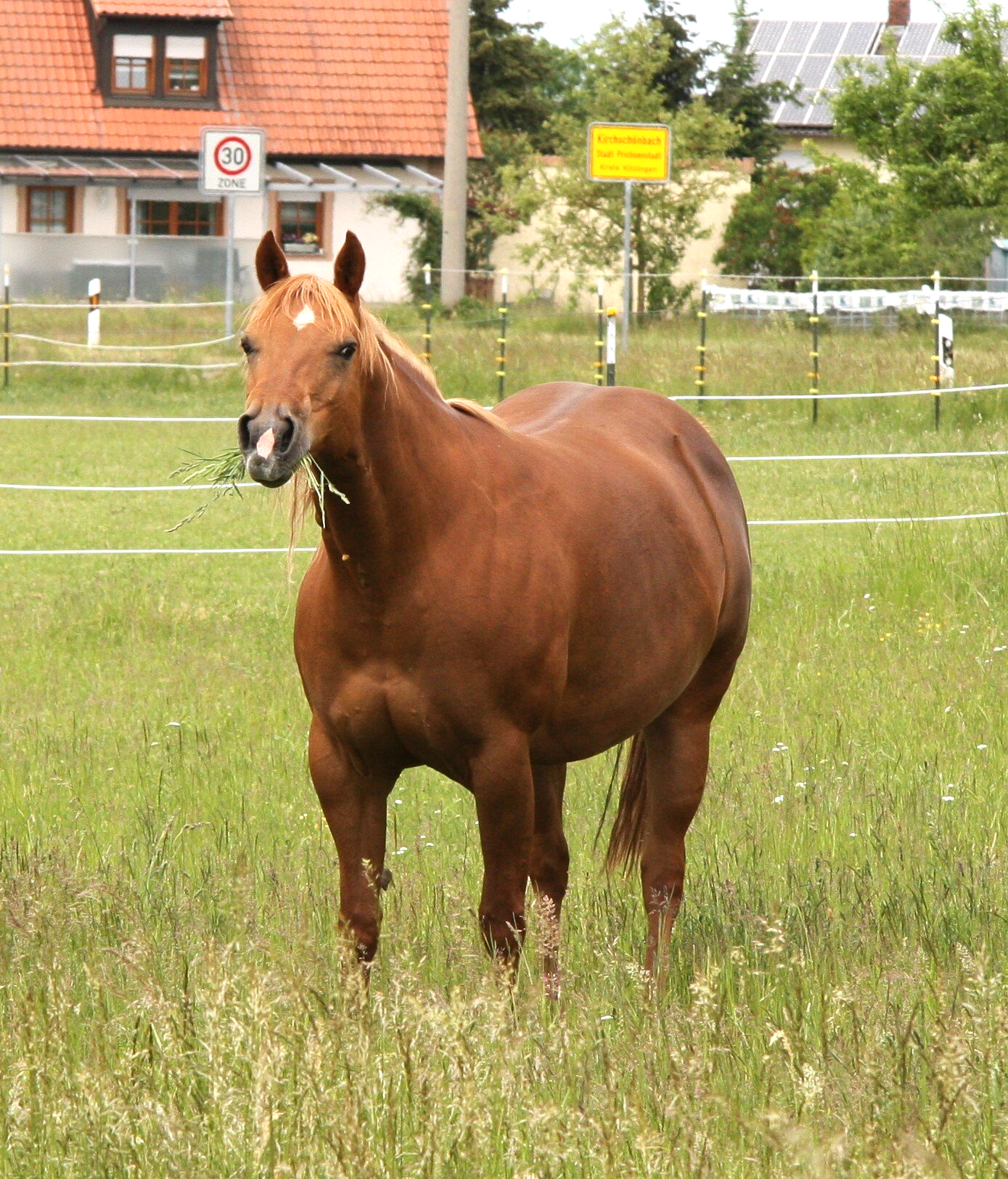 Goodlooken Dressed Goodlooken Dressed