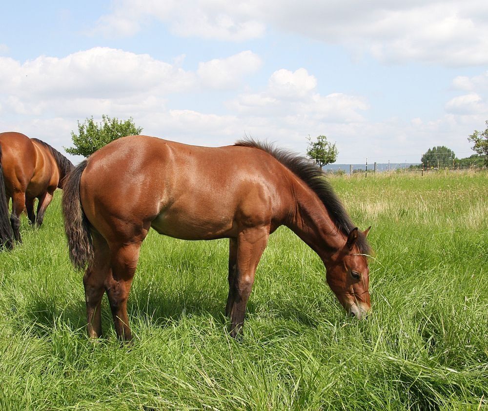 Sharp Dressed Smokin