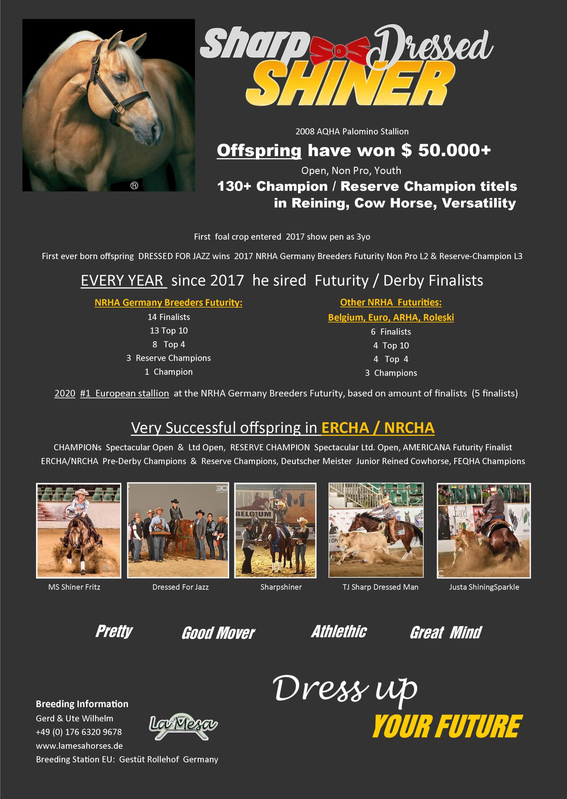 click zum Vergrößern / download Sharp Dressed Shiner Offspring