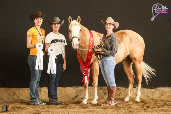 Sharp Shining Gun NRCHA Champion Sharp Shining Gun NRCHA Champion