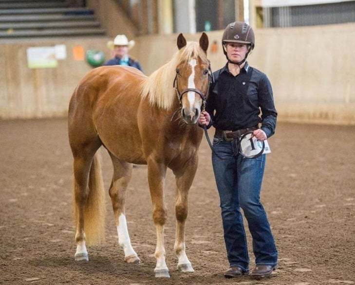 Lili Red Shiner Sveden Lili Red Shiner Sveden