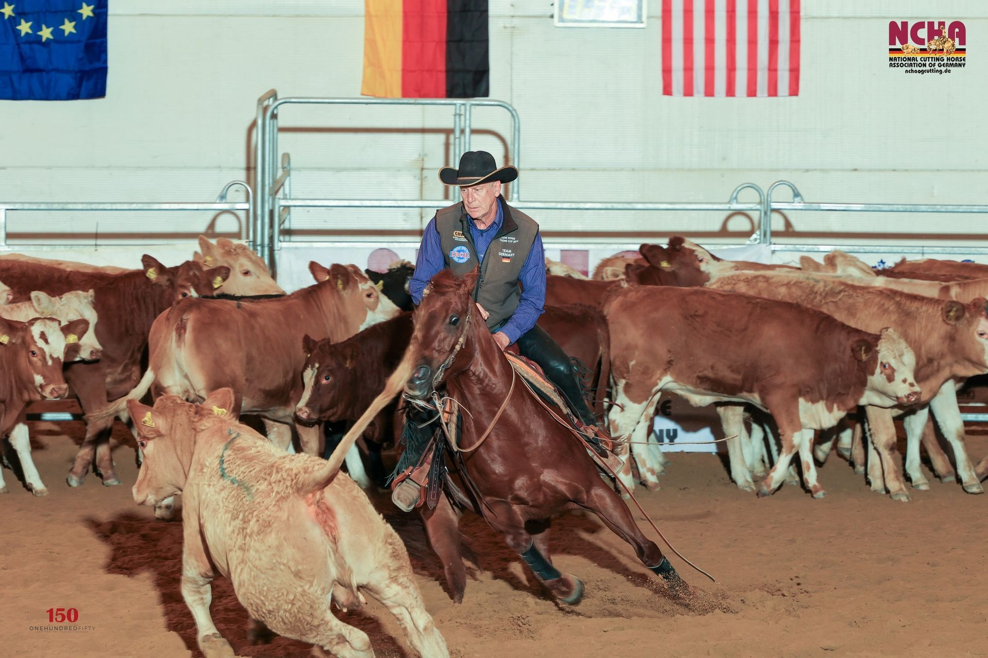 Justa ShiningSparkle NCHA Champion Justa ShiningSparkle NCHA Champion Cutting