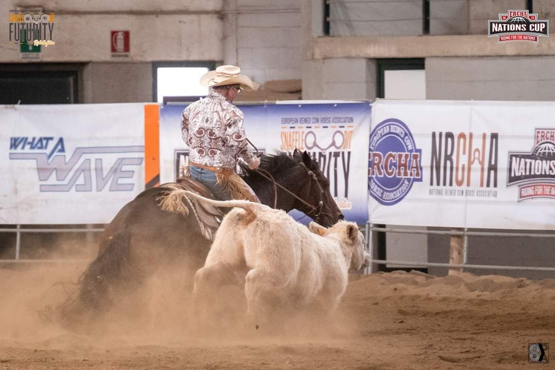 2024 ERCHA Cow Horse Champion