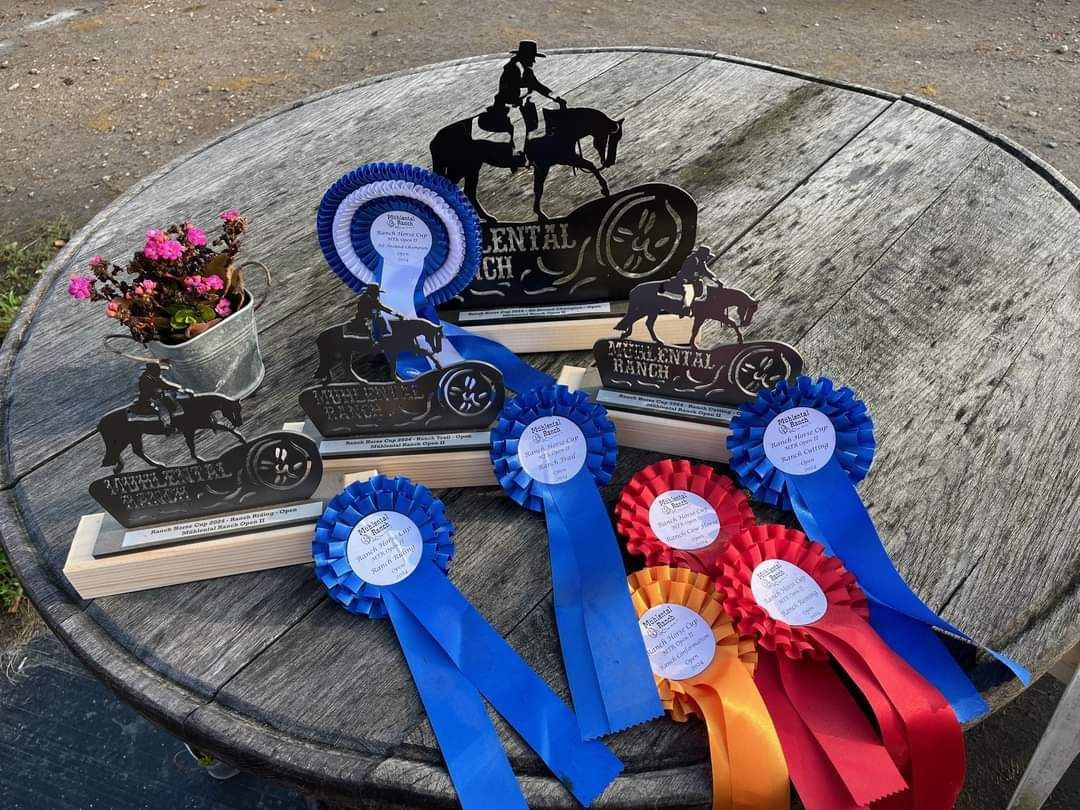 Justa ShiningSparkle VHR Jahres-Champion Versatility Ranch Horse