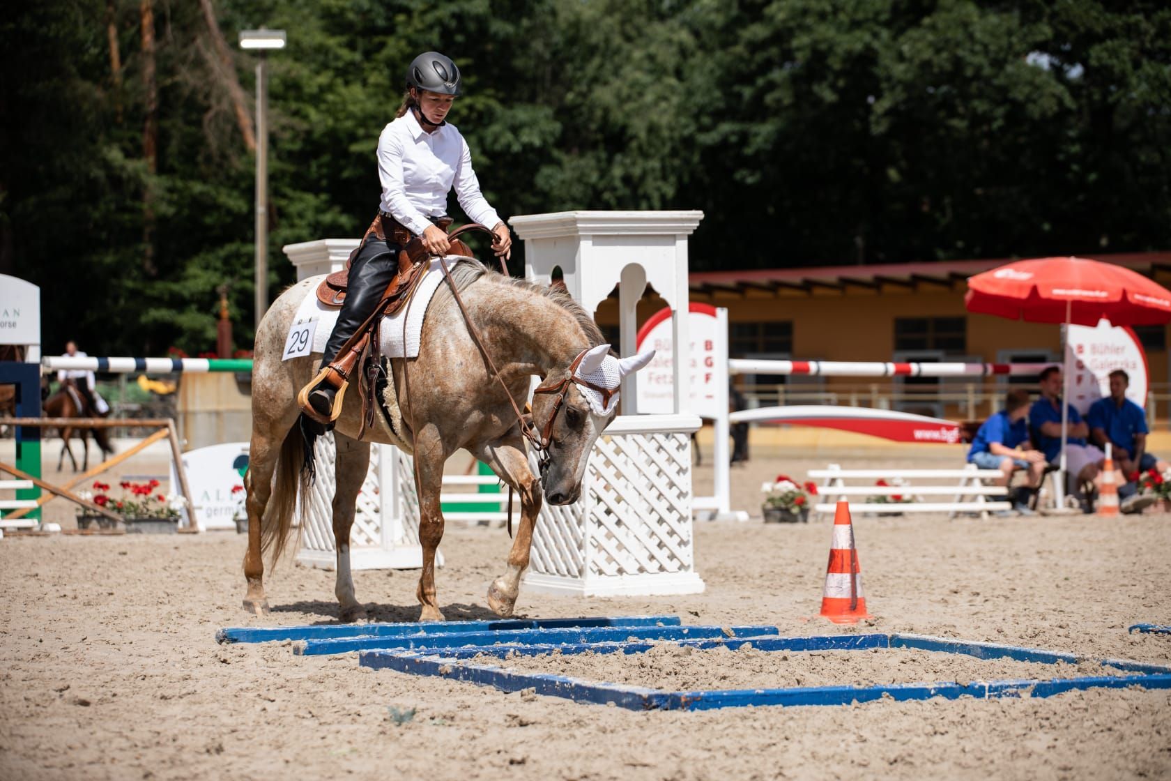 You Shine On Me (ApHC) EWU Allaround Champion You Shine On Me (ApHC) EWU Allaround Champion