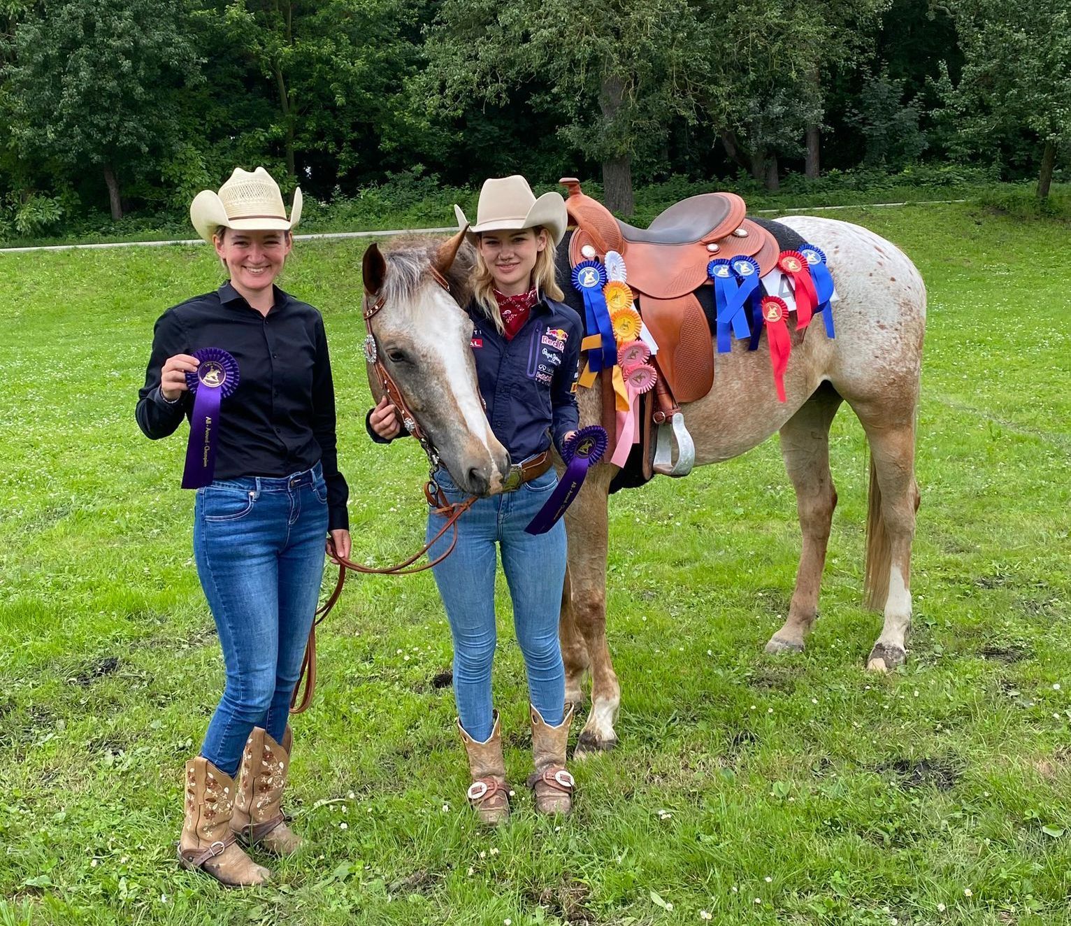 You Shine On Me (ApHC) EWU multiple Allaround Champion You Shine On Me (ApHC) EWU multiple Allaround Champion