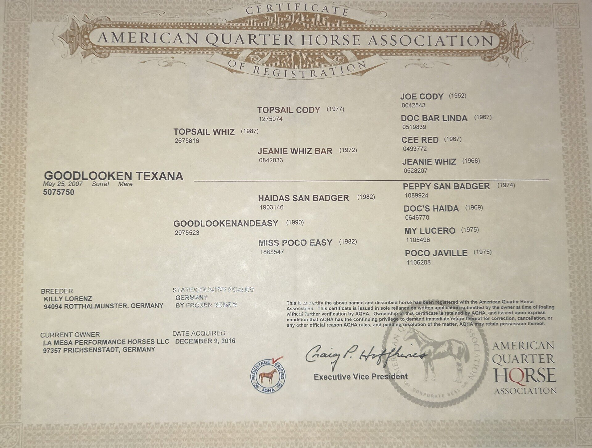 click to enlarge and download