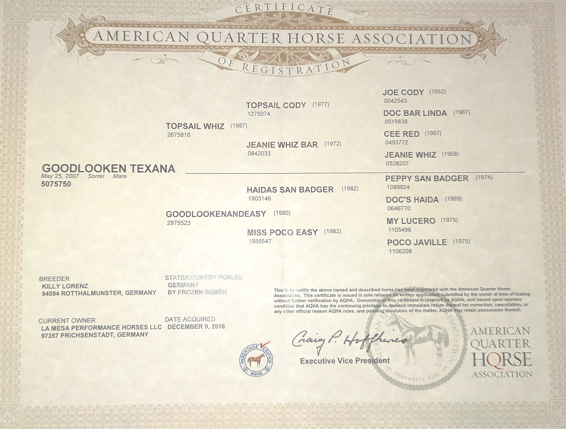 Click zum Vergrößern