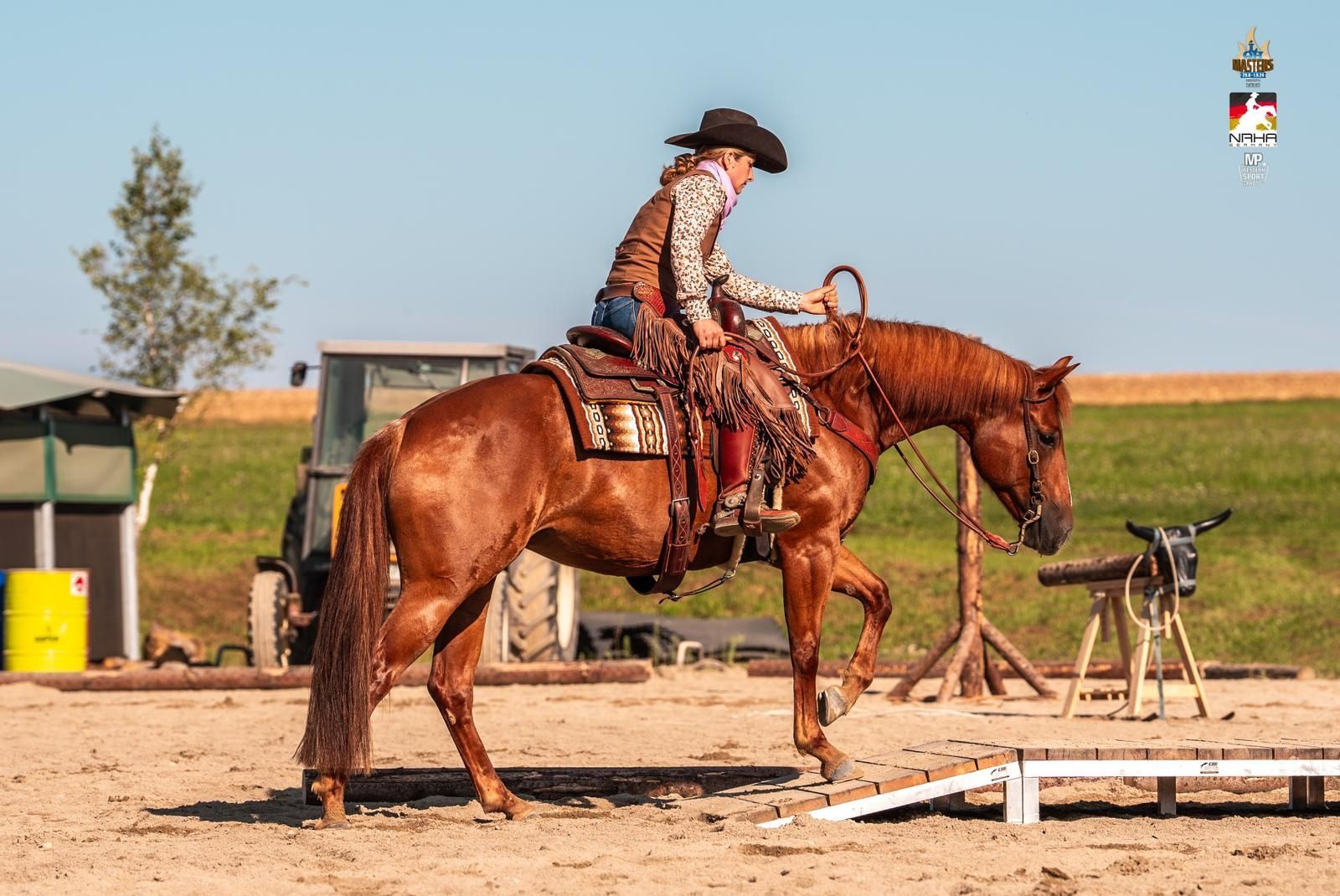 Dressed Chic Dressed Chic