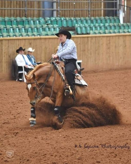 British Reining Champion Interm NP/Nov H British Reining Champion Interm NP/Nov H