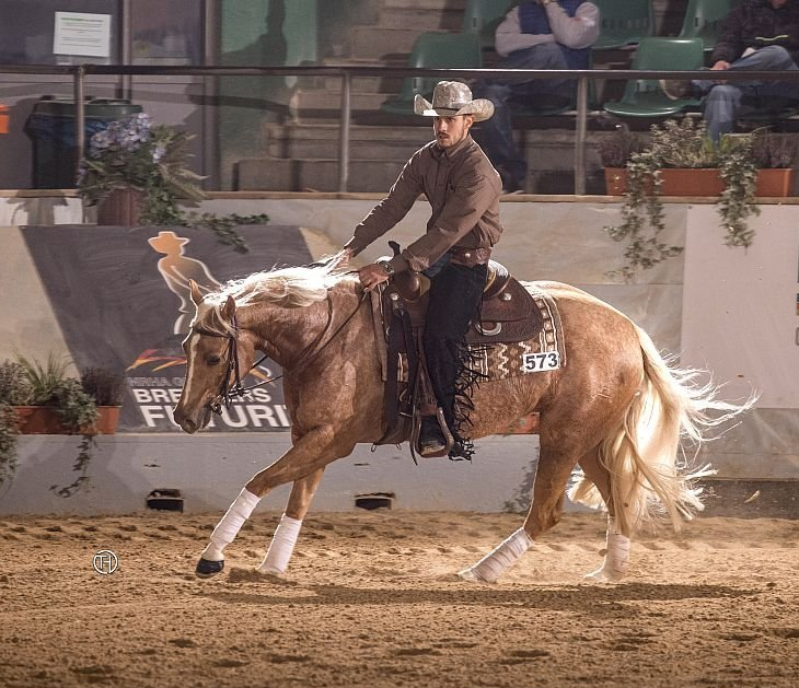 Smart Shining Charly