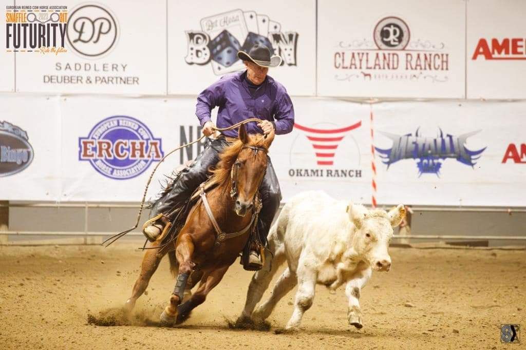 Justa ShiningSparkle NRCHA Cow Horse Champion Justa ShiningSparkle