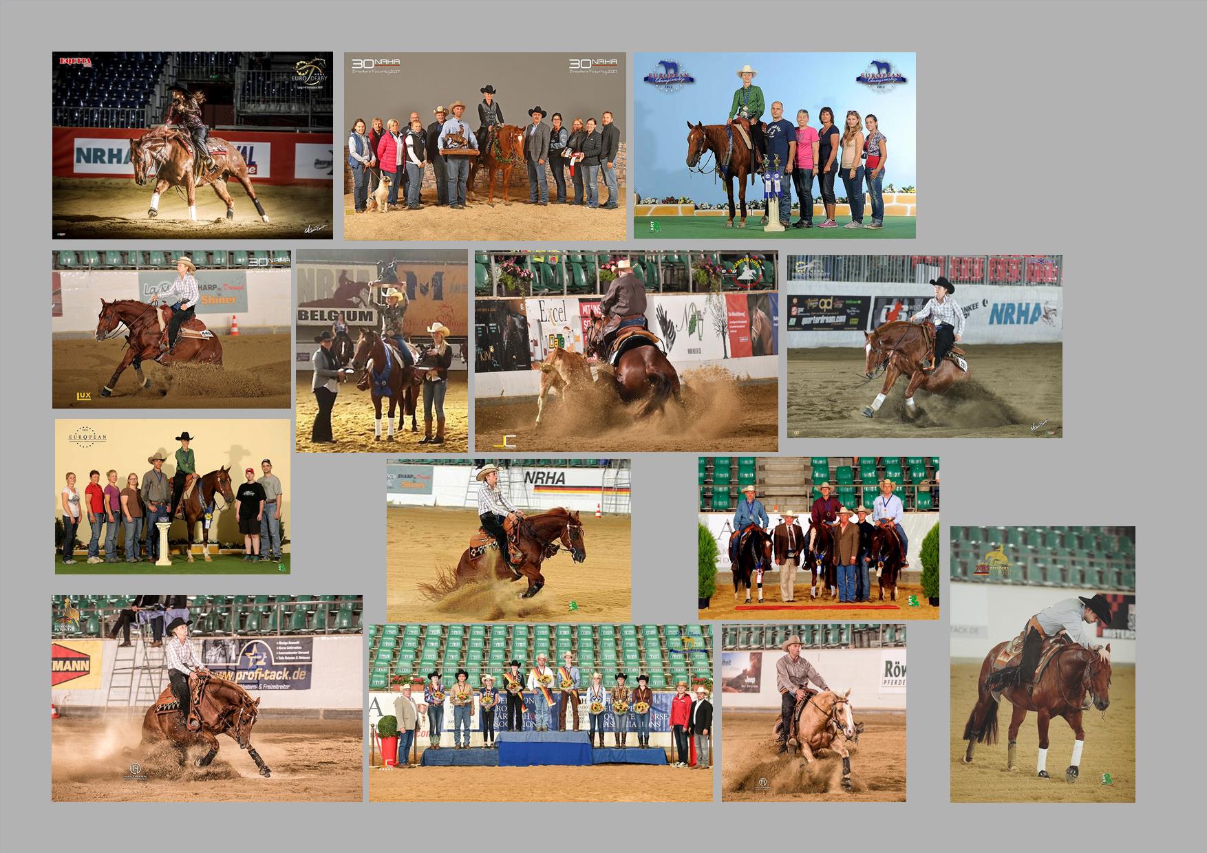 La Mesa erfolgreiche Zucht von QH La Mesa Performance Horses