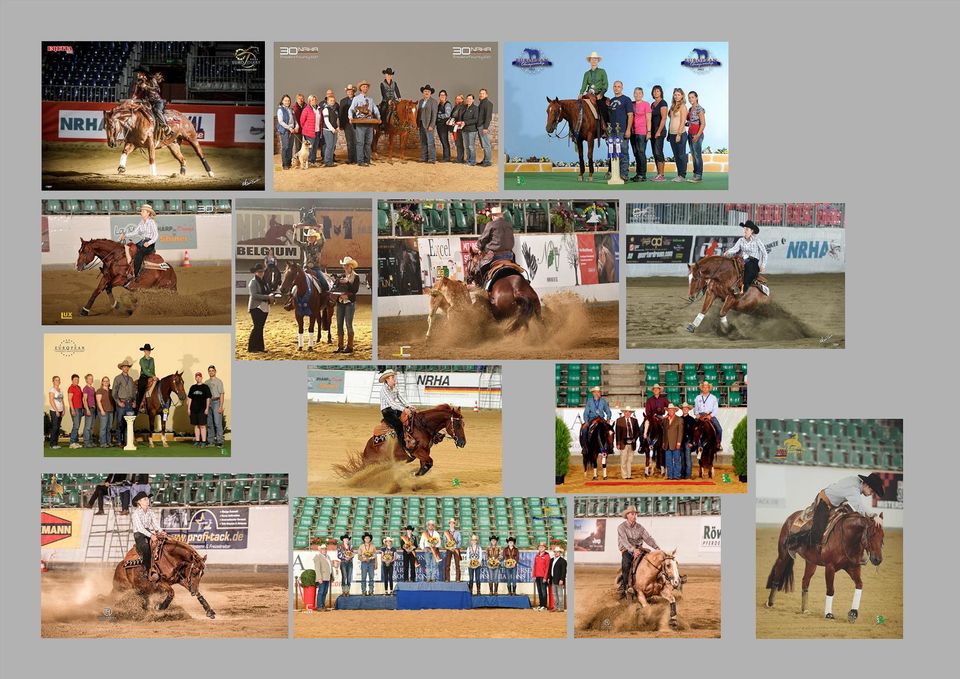 La Mesa erfolgreiche Zucht von QH La Mesa Performance Horses