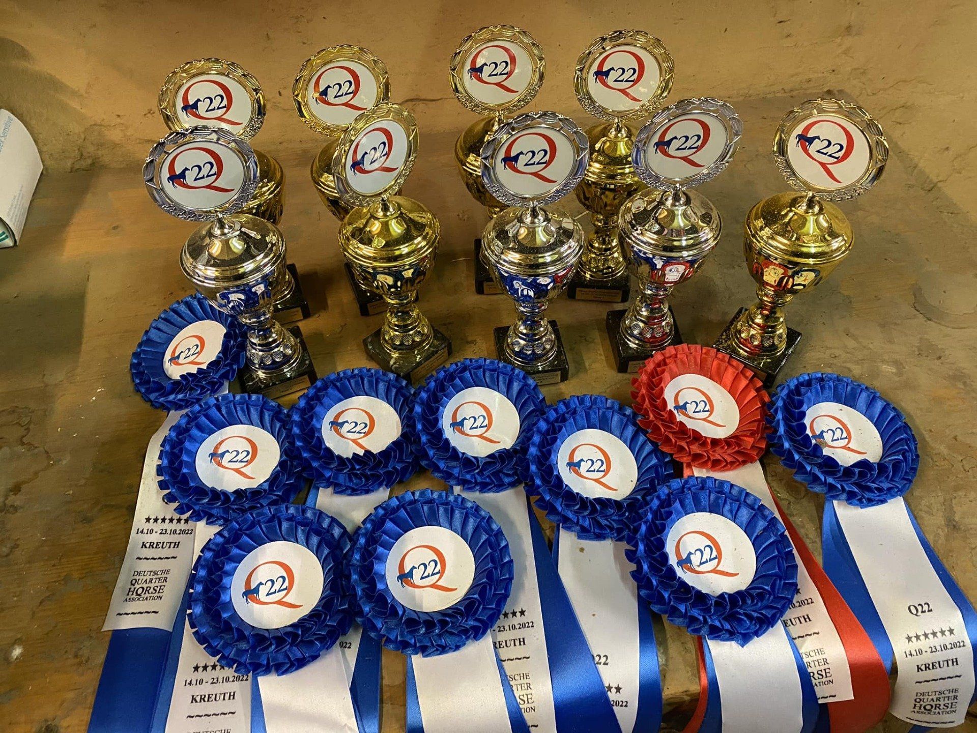 Sharpie Offspring - Champions...Champions Sharpie Offspring - Champions...Champions