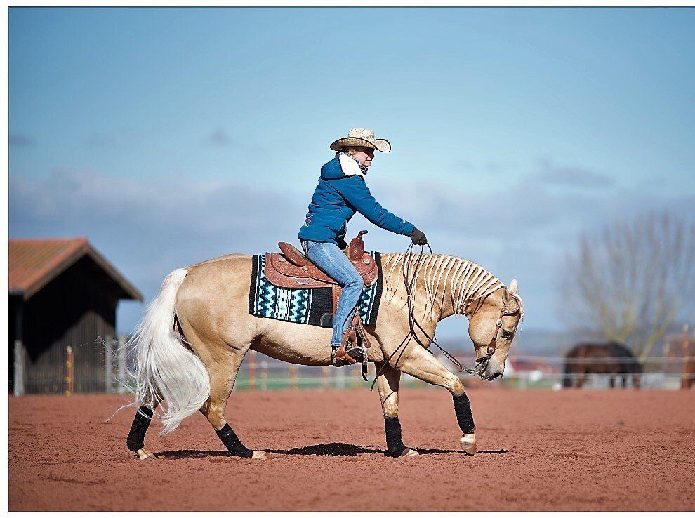 Sharp Dressed Shiner