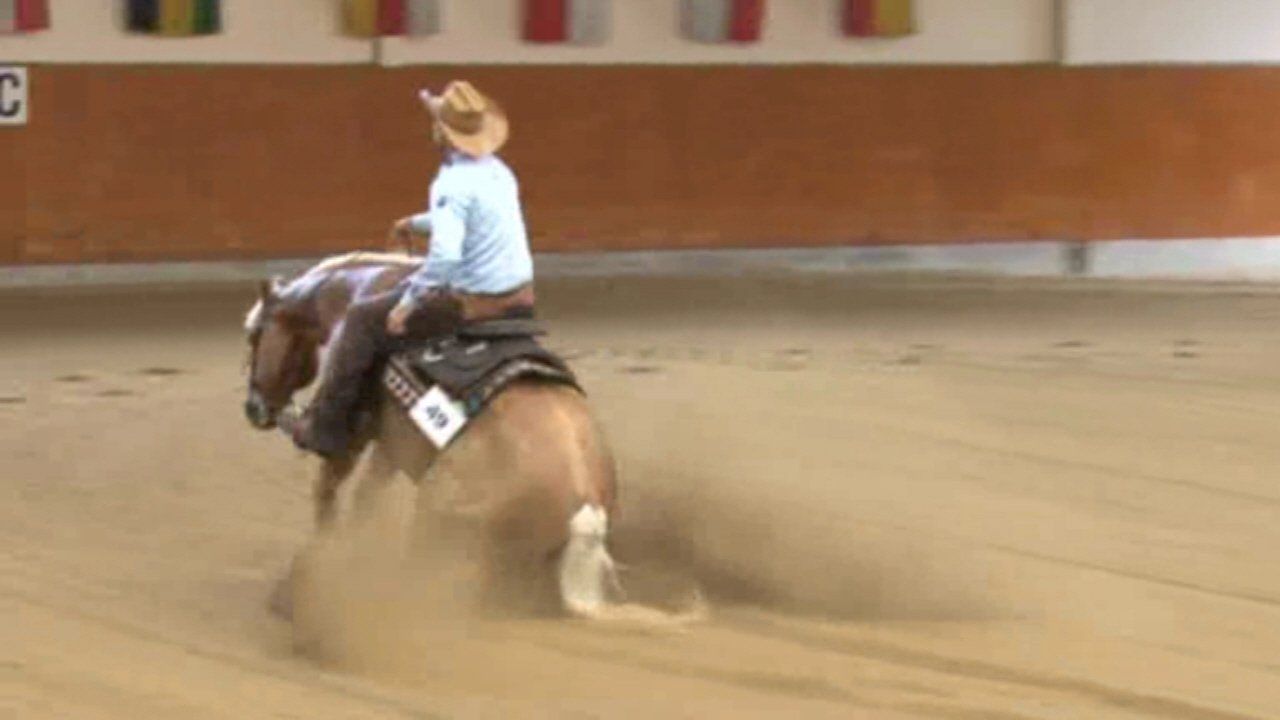 SDS & Grischa Ludwig