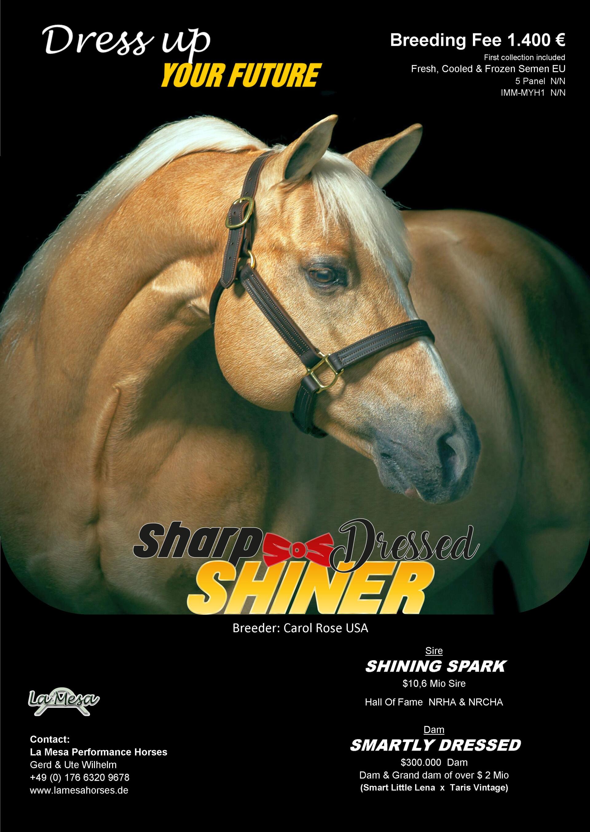 click zum Vergrößern und download Sharp Dressed Shiner stallion card