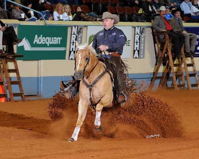 3yo SDS & Jay McLaughlin 3yo SDS & Jay McLaughlin