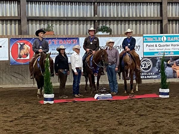 SDS Offspring - FEQHA Champion Sr. WCH SDS Offspring - FEQHA Champion Sr. WCH