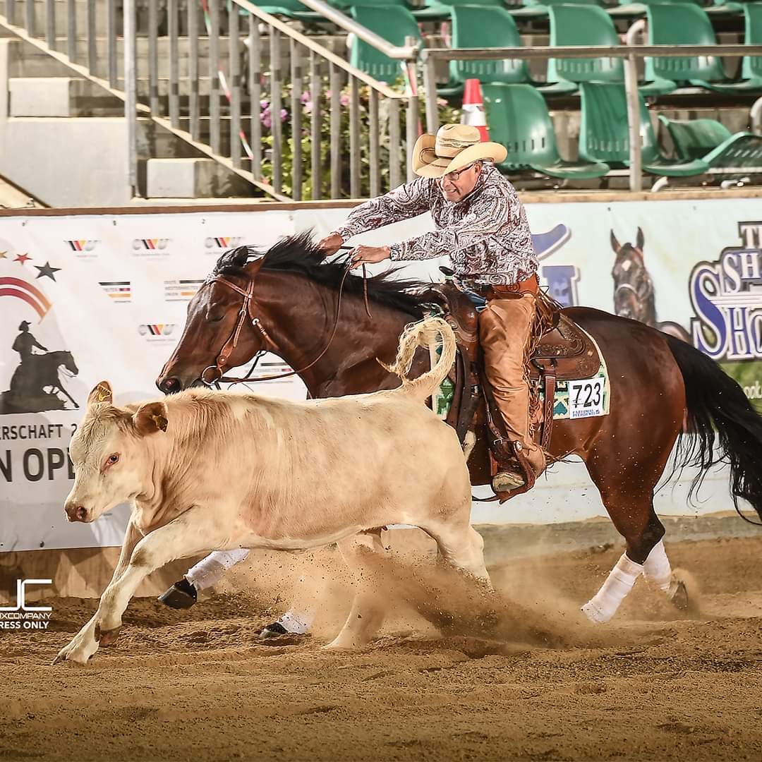 TJ Sharp Dressed Man, successful offspring by Sharp Dressed Shiner in Reining & Reined Cow Horse, AQHA