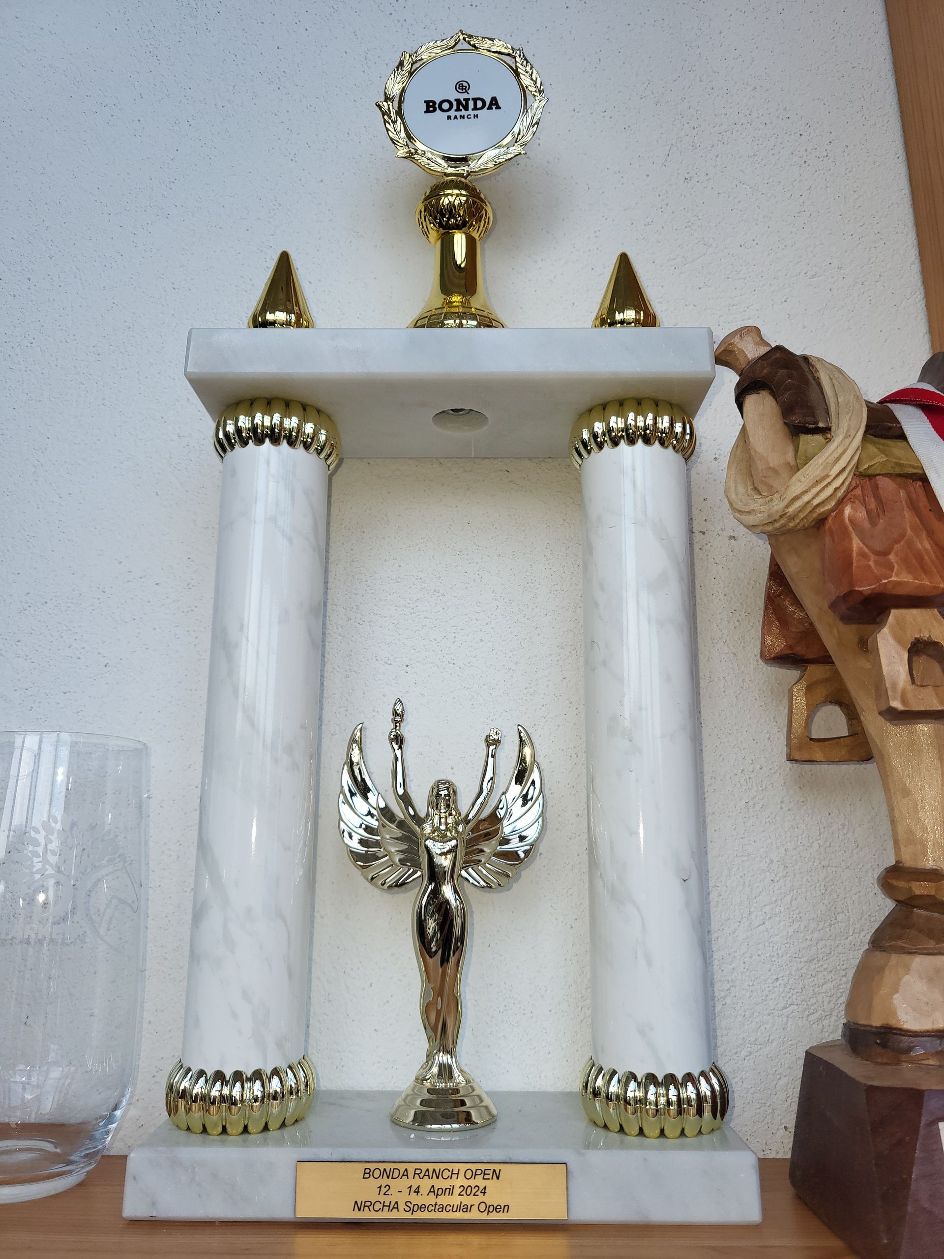 Champion Bonda Ranch Spectacular Cow Horse Open TJ Sharp Dressed Man  Champion Bonda Ranch Spectacular Cow Horse