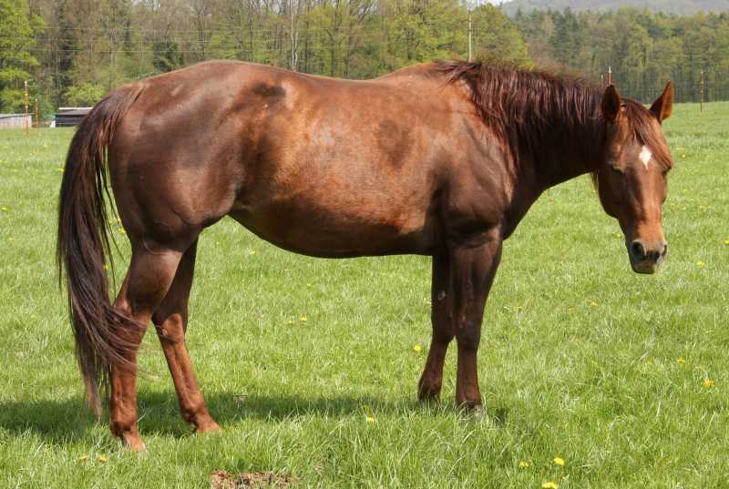 Rey J Starlight Rey J Starlight