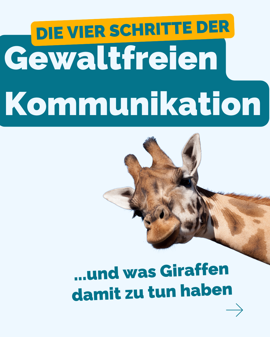 Link führt zum Instagram-Beitrag mit Infos zur Gewaltfreien Kommunikation