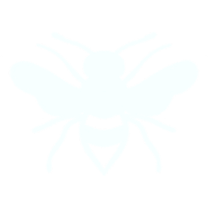 Wasp nest treatment Wasp hornet nest treatment removal pest control Andover Hampshire