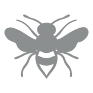 Wasp nest removal Wasp nest removal