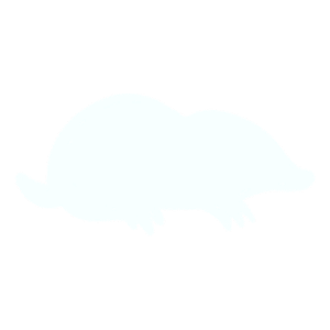 Mole catching Mole catching pest control Andover Hampshire