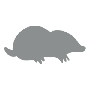 Mole catching Mole catching